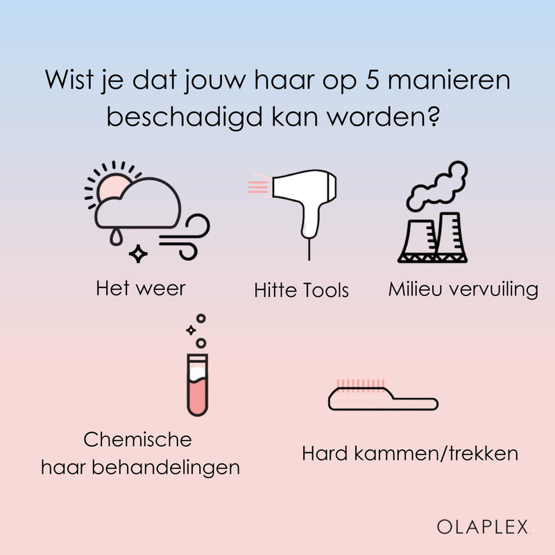 5 Soorten Haar Beschadigingen