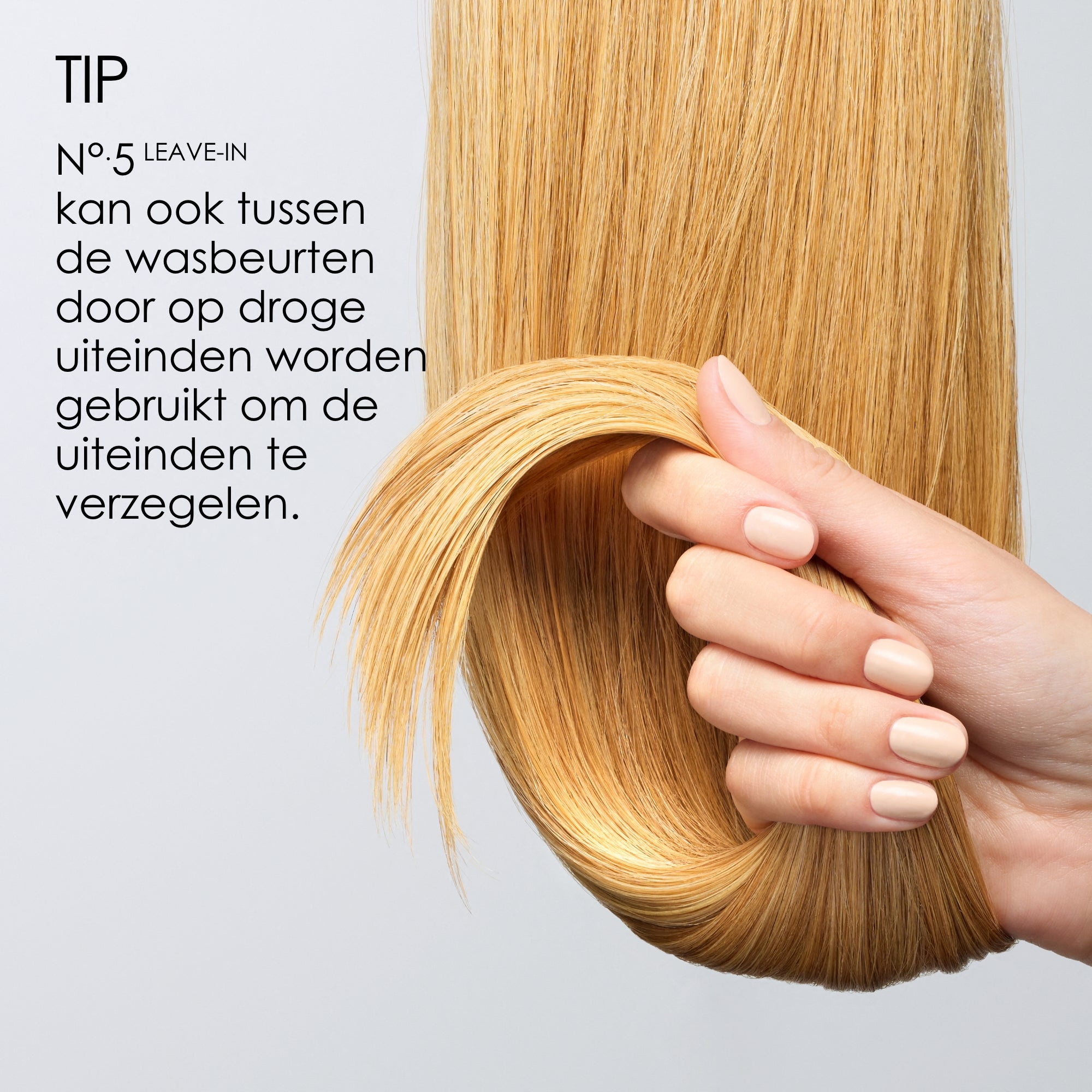 Nº.5 Leave-in Moisturize & Mend Leave-In Conditioner